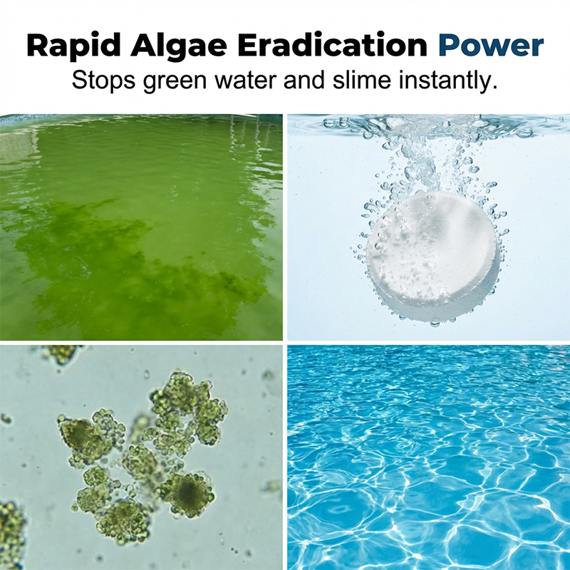 🥳2026 HEISSER VERKAUF🥳💞ÜBER 50.000 VERKAUFT!💧🛡️ 50 % RABATT! Pool-Chlorinatortabletten – Über Nacht von Grün zu Klar. Langsam auflösend, wartungsarm. Sanft zu Haut und Augen. Der beste Freund Ihres Pools. 🏖️✅