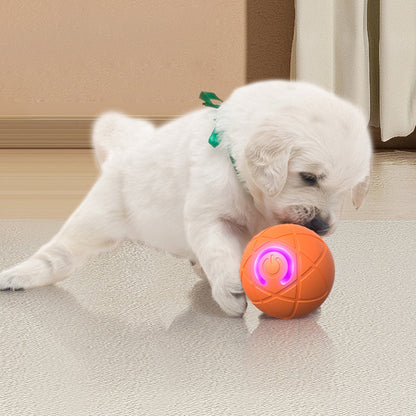 🐶 50% RABATT! ⚽ Interaktiver Hüpfball für Hunde – Fördert Bewegung & Spieltrieb, Robust, Sicher & Ideal Für Drinnen & Draußen 🏡